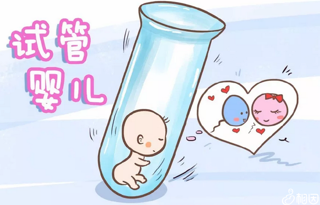 试管婴儿技术与胚胎植入前遗传学诊断