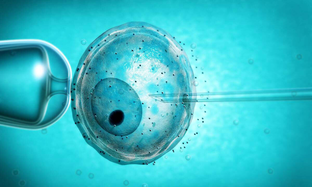 试管婴儿技术交流论坛