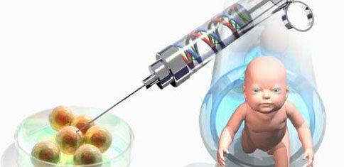 试管婴儿技术中疼痛管理研究进展