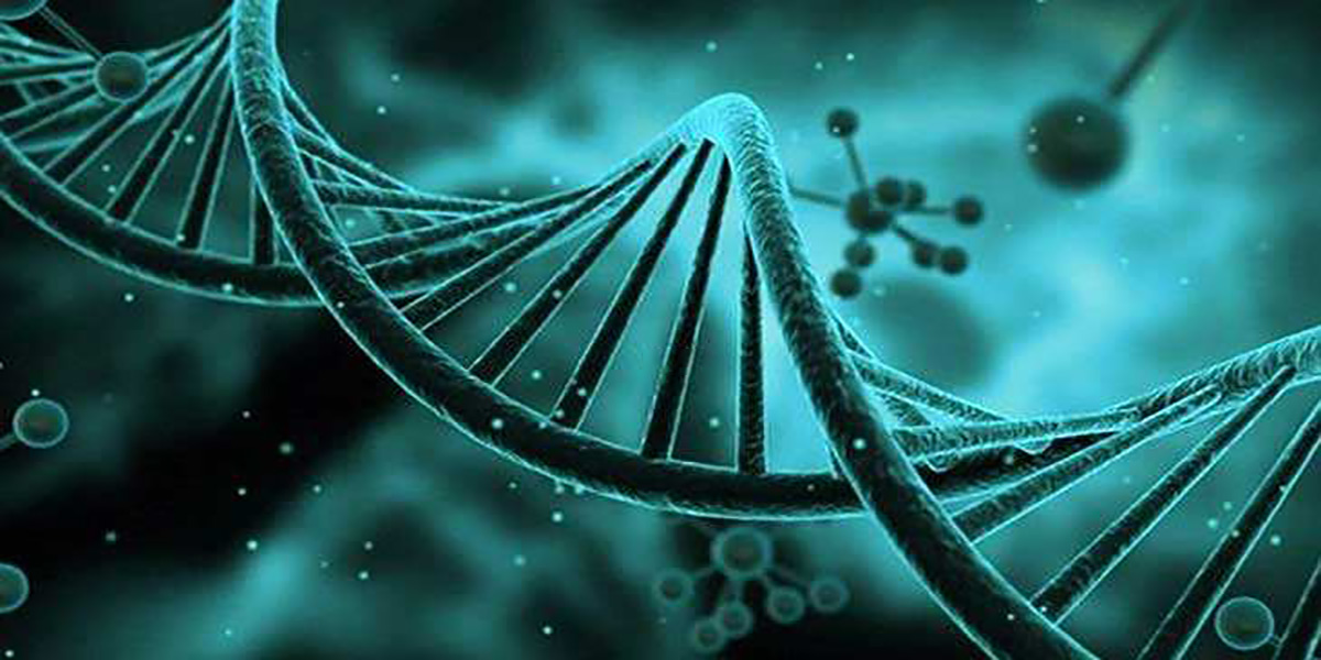 试管婴儿技术  ---  现状