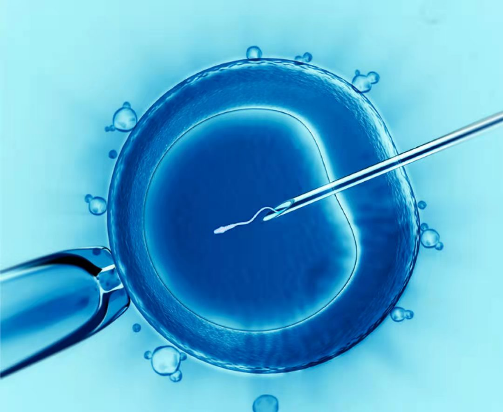 试管婴儿技术临床应用伦理探讨与建档管理研究