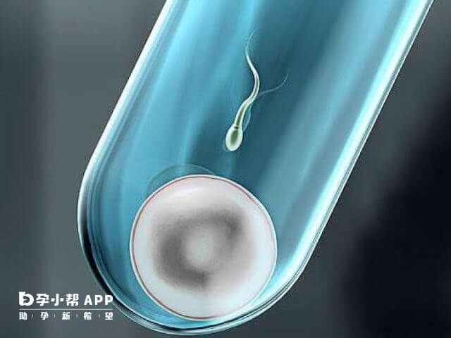 试管婴儿技术与体重变化