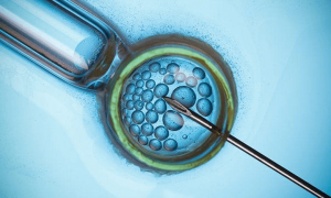 试管婴儿技术伦理探讨