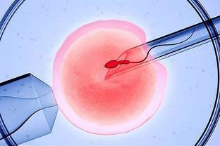 试管婴儿手术前检查项目