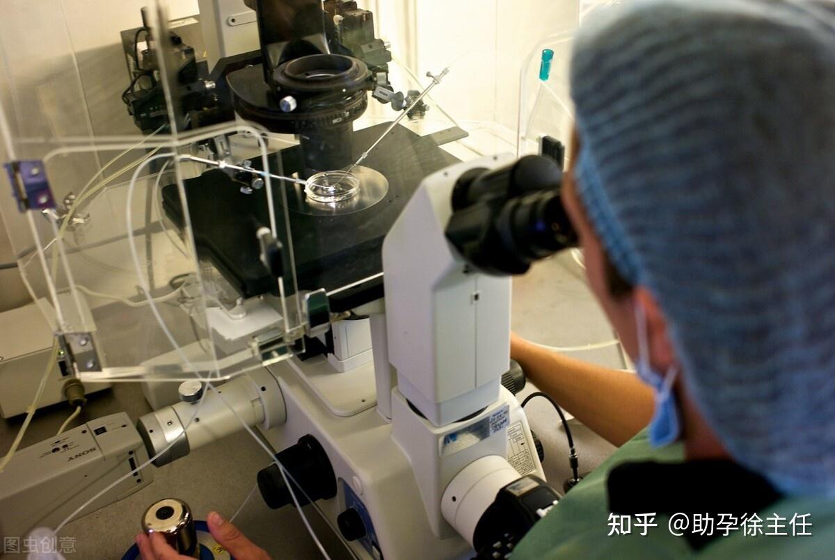 试管婴儿手术后的生理反应