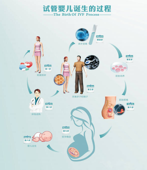 试管婴儿技术 上海医院排名