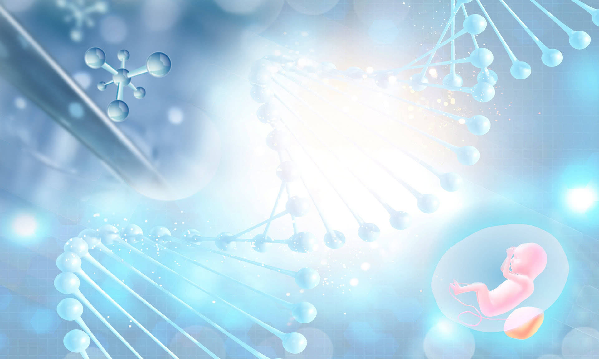 试管婴儿技术中卵泡发育与成熟度研究进展