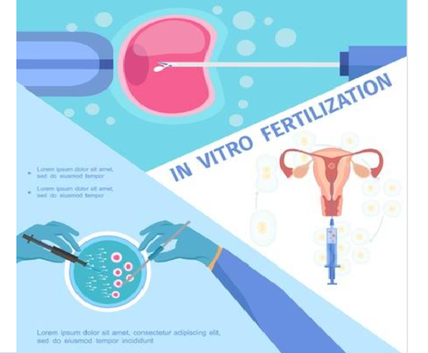 试管婴儿成功率预测模型构建