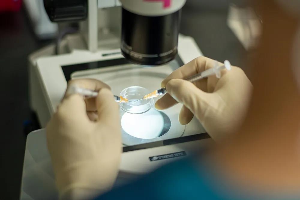 试管婴儿技术及其价格影响因素分析