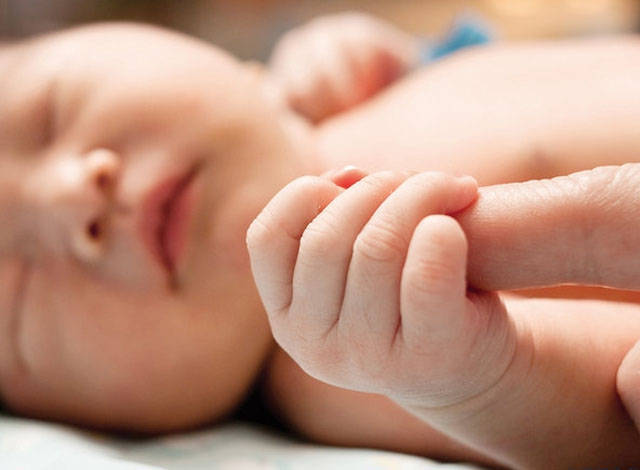 试管婴儿技术 助力生育难题