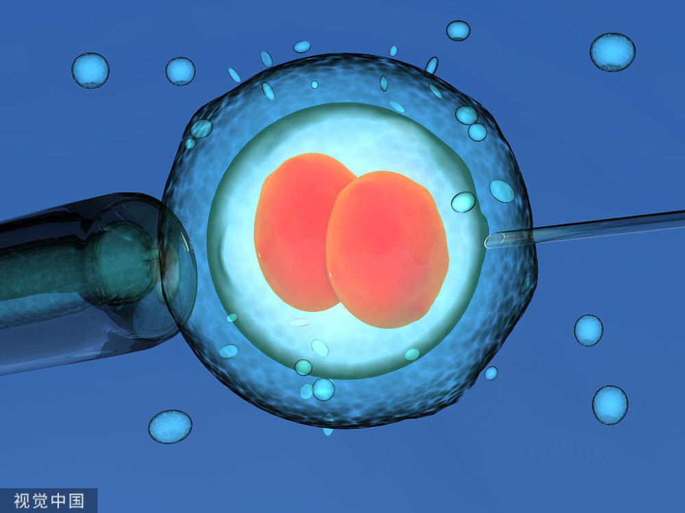 试管婴儿技术  成本分析与价格构成