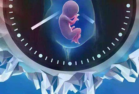 试管婴儿技术与家庭经济负担分析